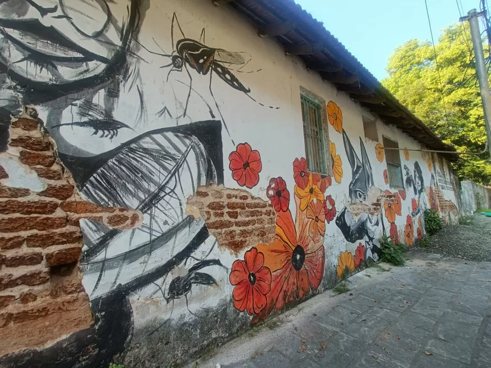Photo of Kochi on Christmas: A Perfect Solo Adventure by Titli Ghosh