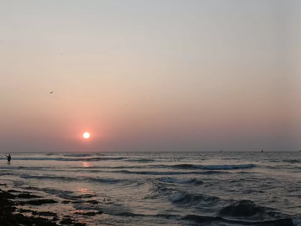 Photo of Kochi on Christmas: A Perfect Solo Adventure by Titli Ghosh