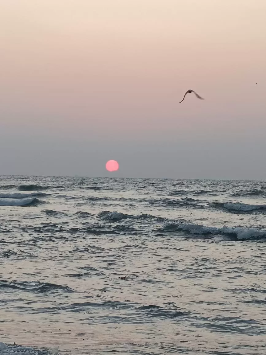 Photo of Kochi on Christmas: A Perfect Solo Adventure by Titli Ghosh