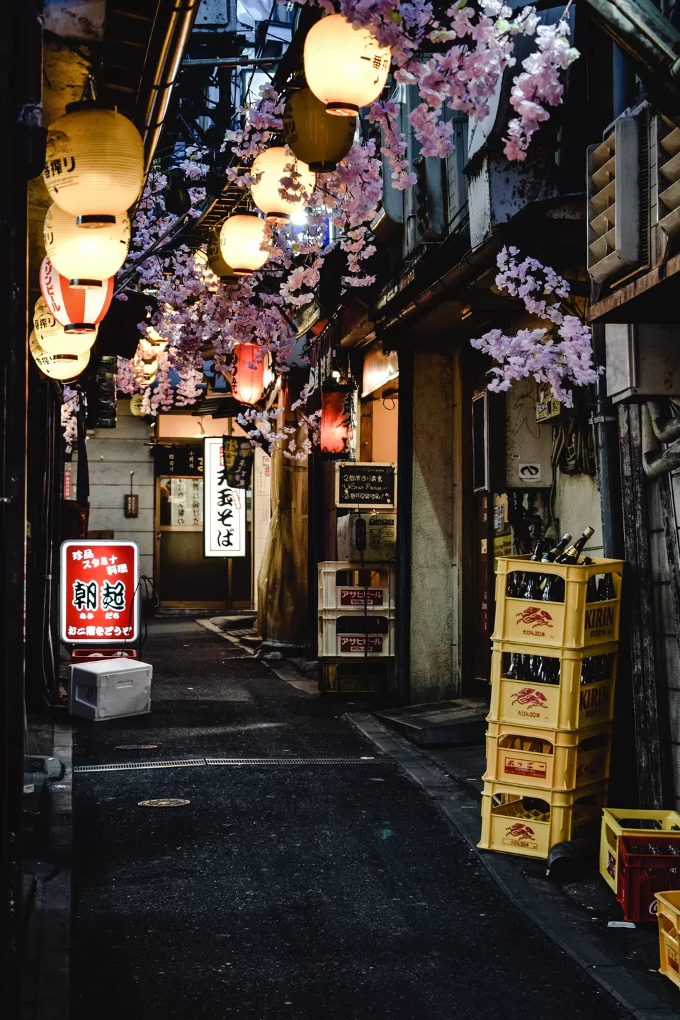 Photo of From Ramen to Robots: Exploring Tokyo's Best Experiences by Khyati Maloo