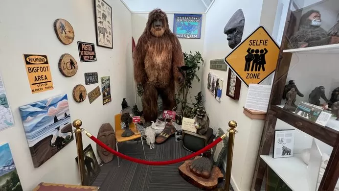 Photo of 10 Bizarre Travel Experiences in The USA That Make It the World's Best Travel Destination! by Khyati Maloo