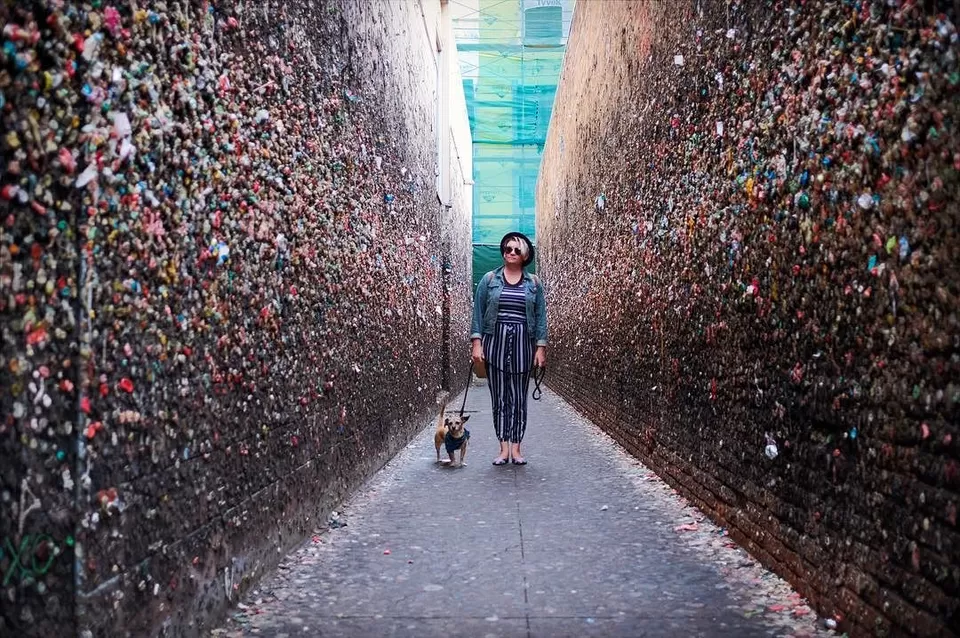 Photo of 10 Bizarre Travel Experiences in The USA That Make It the World's Best Travel Destination! by Khyati Maloo
