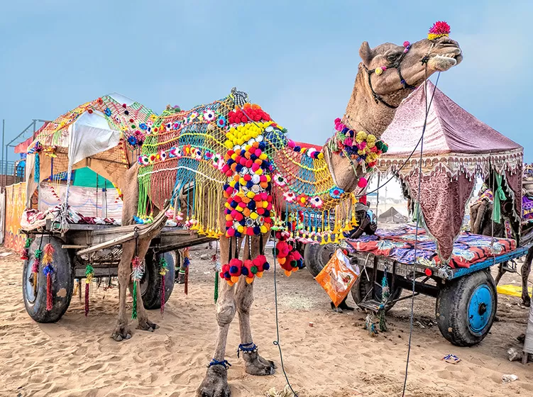 Photo of Festivals to Attend in India During November and December 2023 by Khyati Maloo
