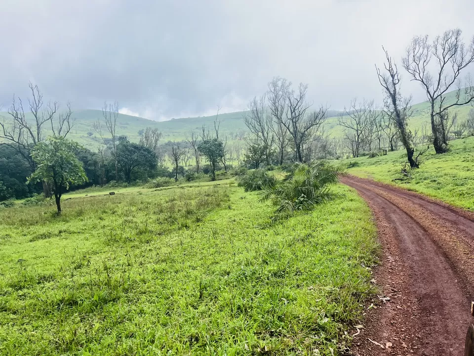 Photo of Reason to include Chikmangalur on your travel list : by Aravind S