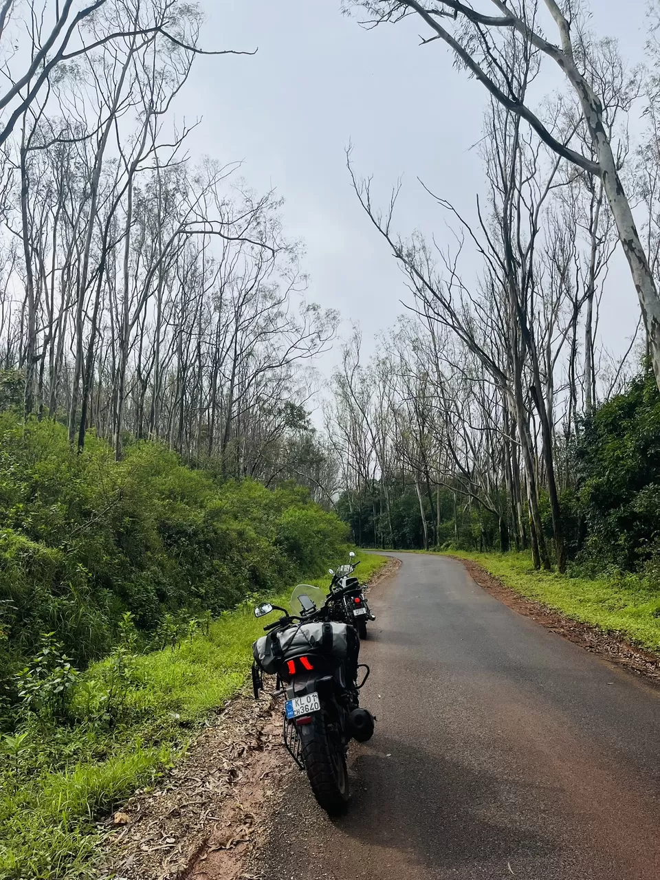 Photo of Reason to include Chikmangalur on your travel list : by Aravind S