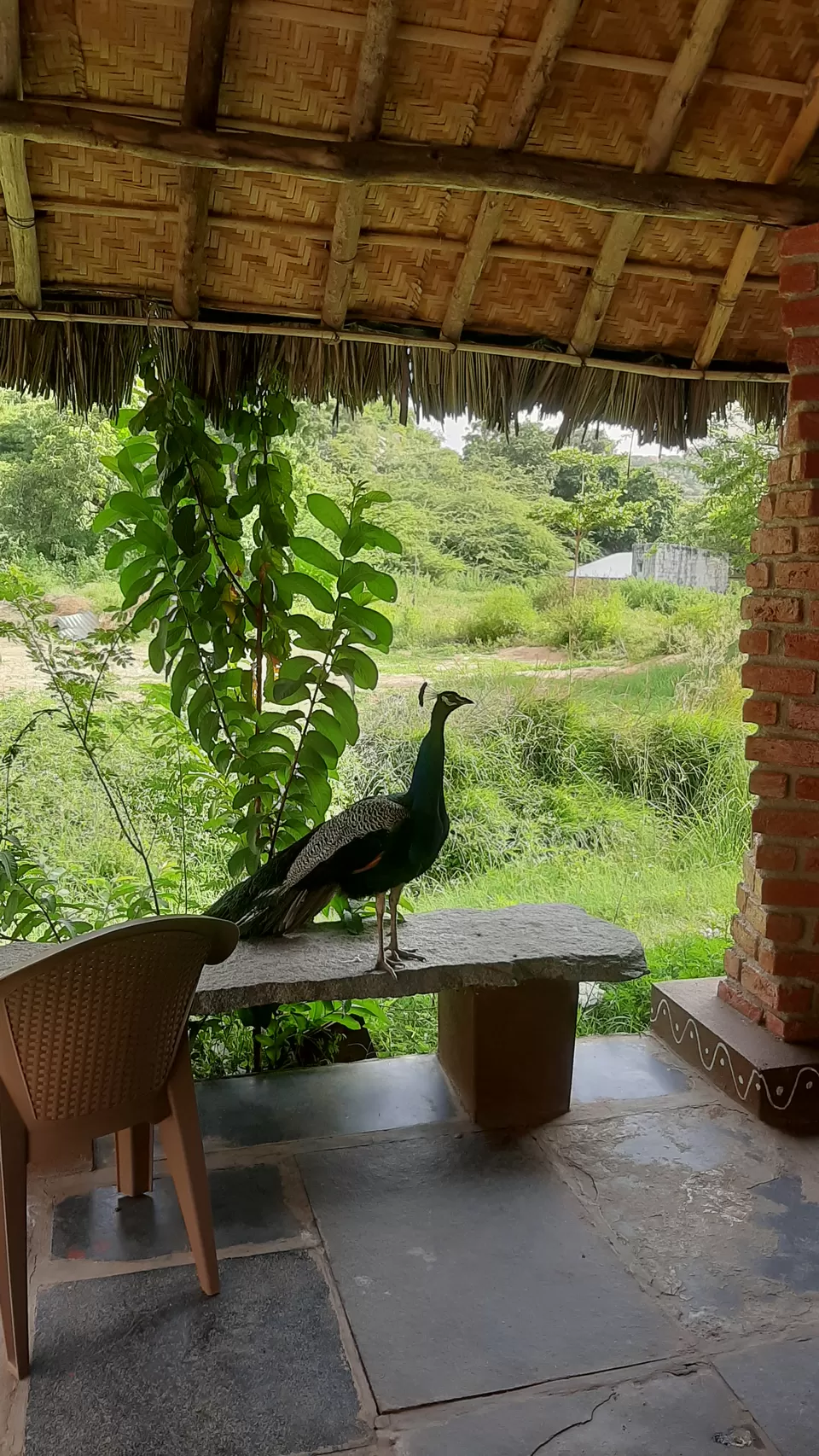 Photo of HAMPI - AN UNESCO HERITAGE SITE by Aravind S