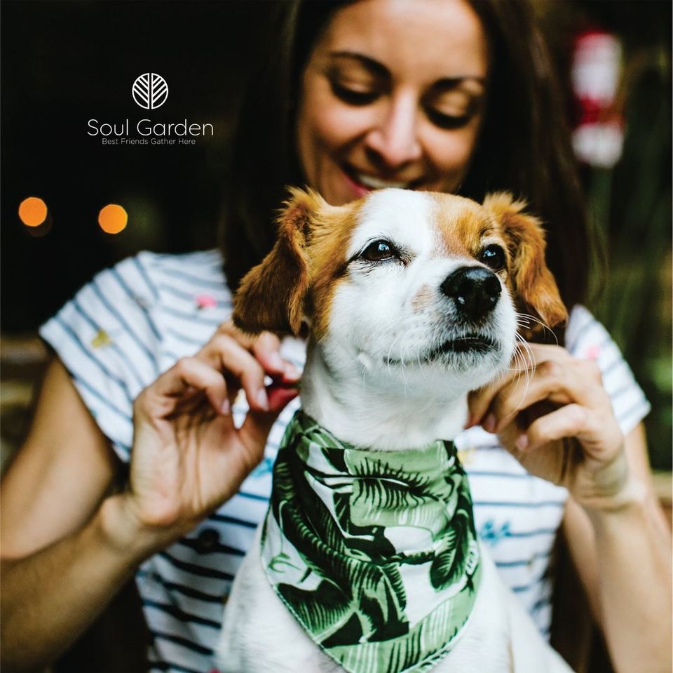 Photo of Cafe Soul Garden, Gurugram by Kadambari Bhatte (curlytravelmess)