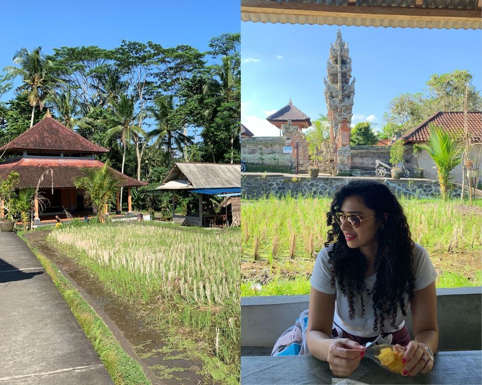 Photo of All You Need To Know Before Planning Your Next Bali Trip! by Kadambari Bhatte (curlytravelmess)