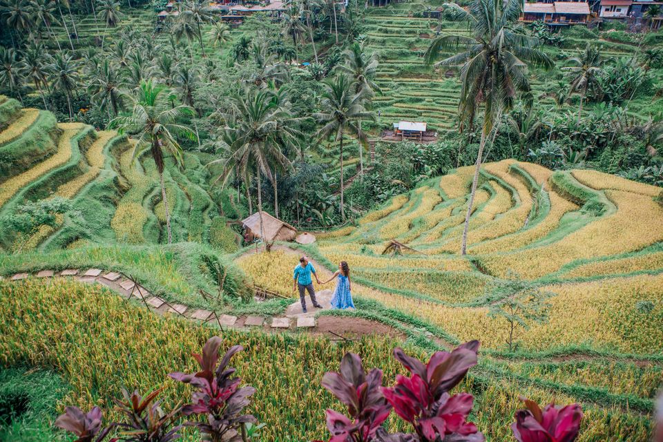 Photo of 11 Amazing Free Things You Should Do in Bali For The Best Holiday Ever! by Kadambari Bhatte (curlytravelmess)