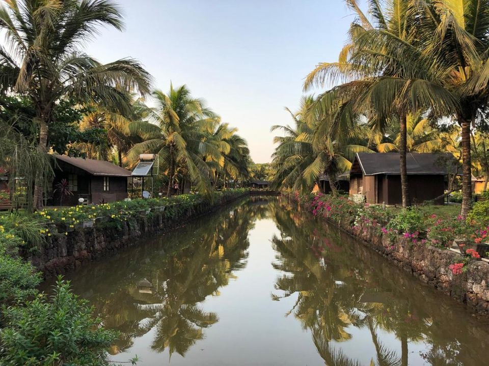 Photo of Resort Primo Bom Terra Verde, Calangute by Kadambari Bhatte (curlytravelmess)