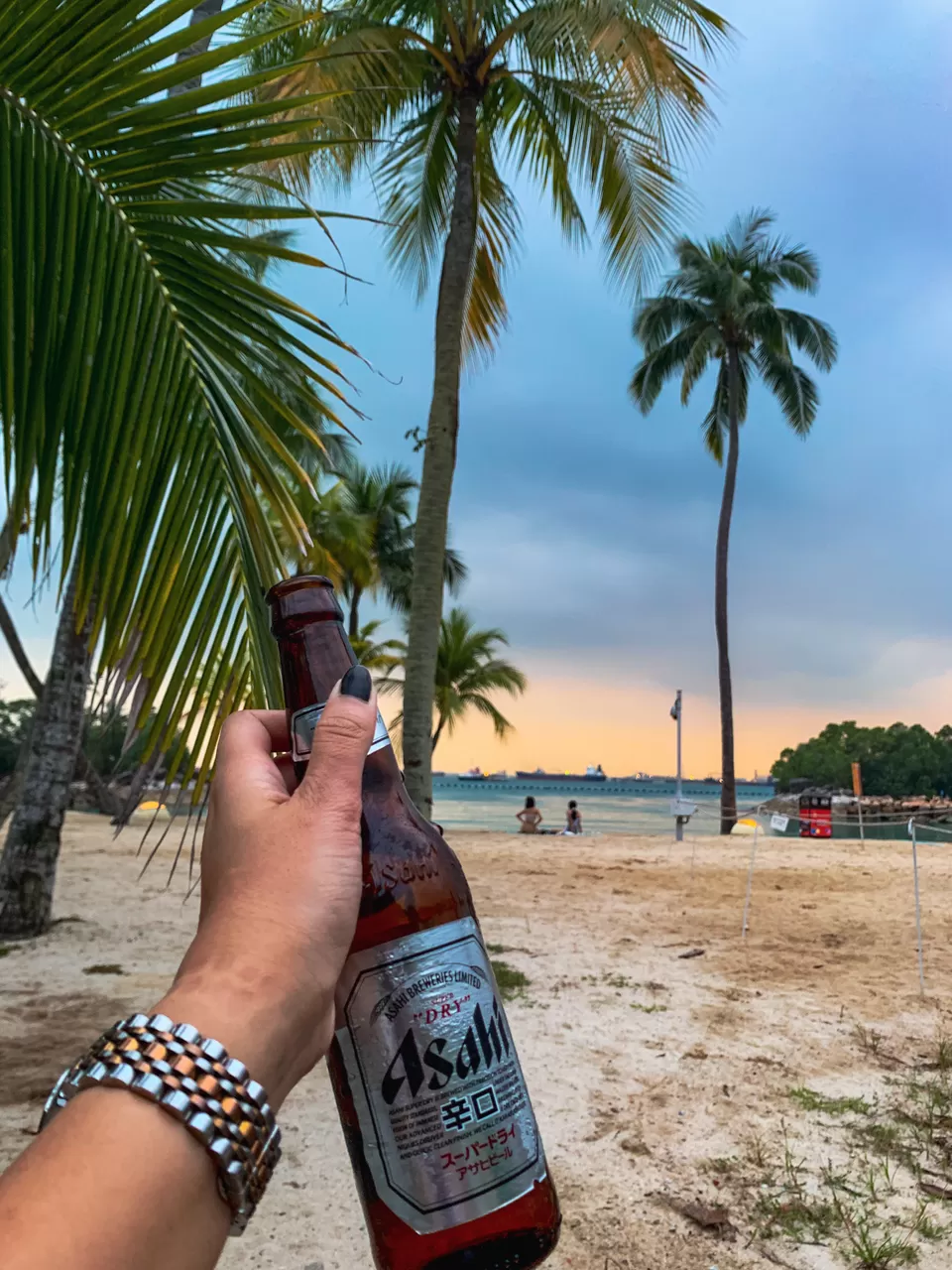 Photo of Here's a Four Day Complete Singapore Itinerary For A Fun Filled Holiday! by Kadambari Bhatte (curlytravelmess)
