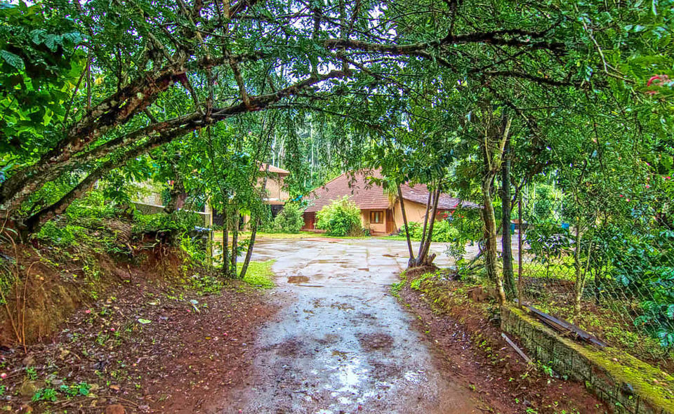 Photo of Hachinadu, Kodagu by Kadambari Bhatte (curlytravelmess)