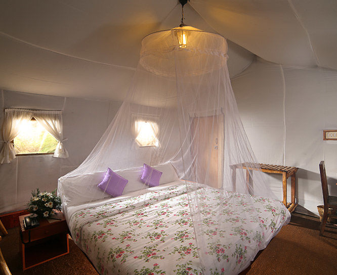 Photo of Nature Zone Jungle Resort, Munnar by Kadambari Bhatte (curlytravelmess)