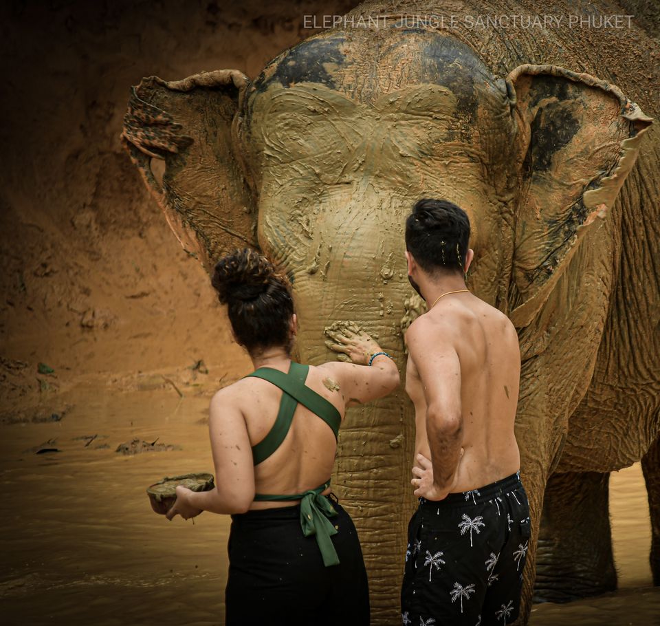 Photo of I Visited One of The Very Few Ethical Elephant Sanctuaries in Thailand, And Here's My Experience by Kadambari Bhatte (curlytravelmess)
