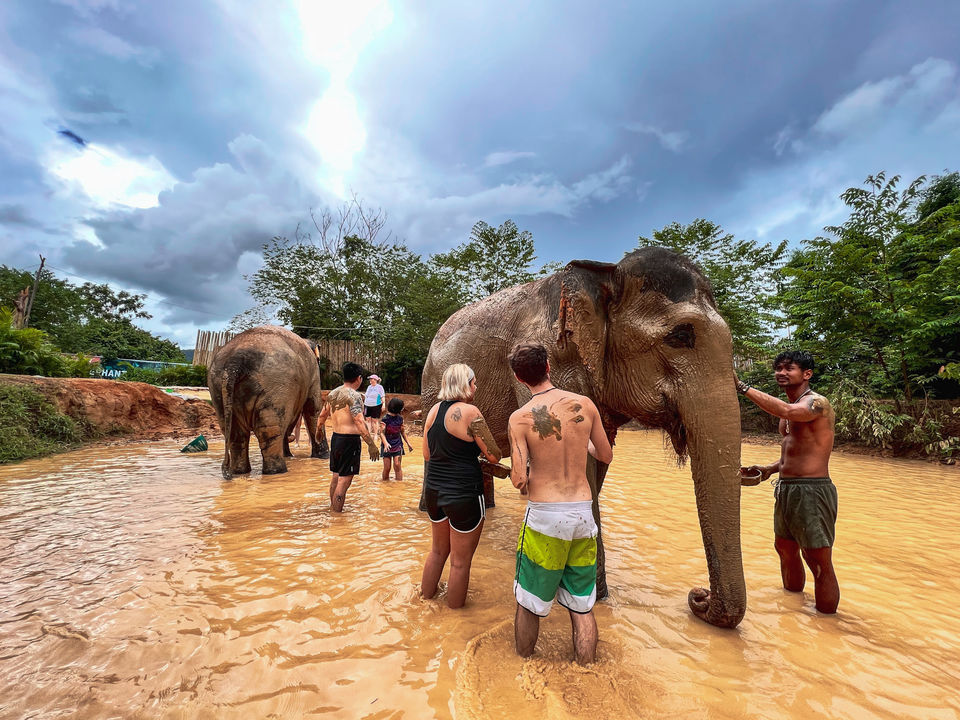 Photo of I Visited One of The Very Few Ethical Elephant Sanctuaries in Thailand, And Here's My Experience by Kadambari Bhatte (curlytravelmess)