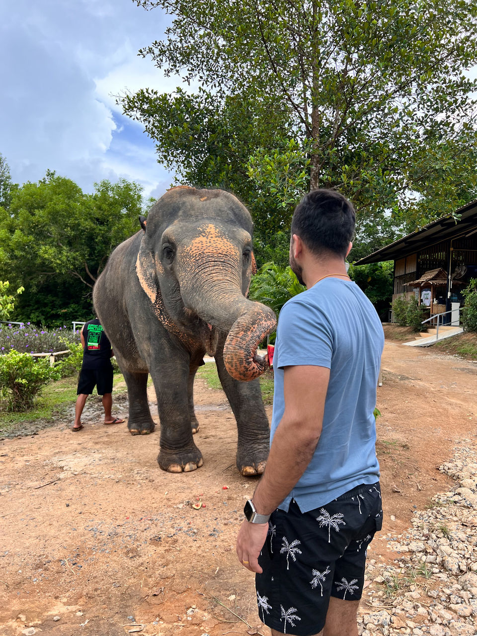 Photo of I Visited One of The Very Few Ethical Elephant Sanctuaries in Thailand, And Here's My Experience by Kadambari Bhatte (curlytravelmess)