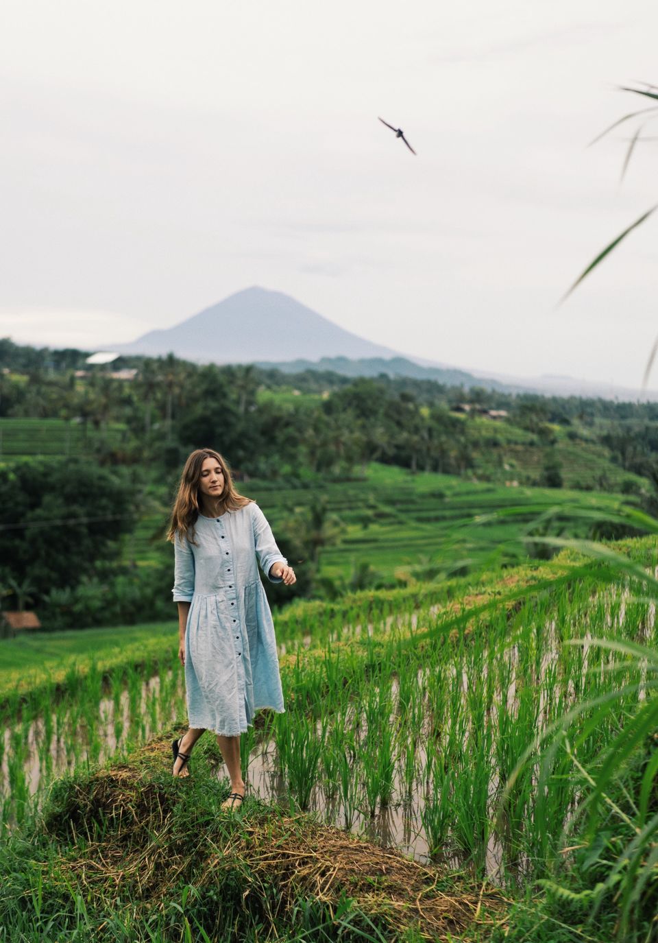 Photo of Jatiluwih Rice Terraces, Kabupaten Tabanan by Kadambari Bhatte (curlytravelmess)