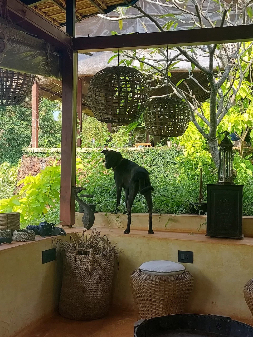 Photo of Cabo Serai - Eco Resort, Canaguinim by Kadambari Bhatte (curlytravelmess)