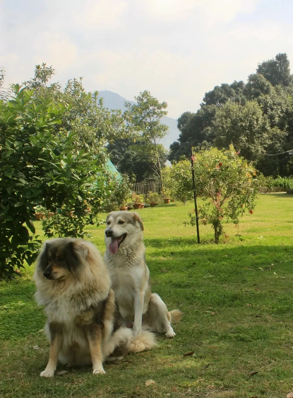 Photo of EMERALD TRAIL BHIMTAL, Bohragaon by Kadambari Bhatte (curlytravelmess)