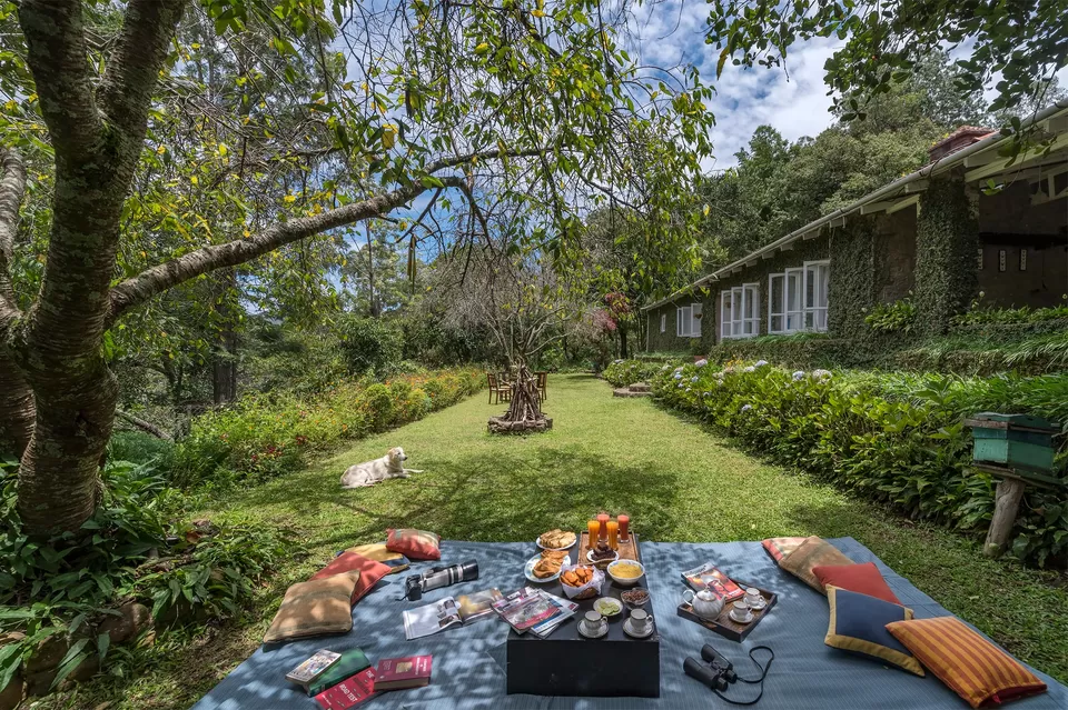 Photo of SaffronStays Nandanvan Estate Kodaikanal, Kodaikanal by Kadambari Bhatte (curlytravelmess)