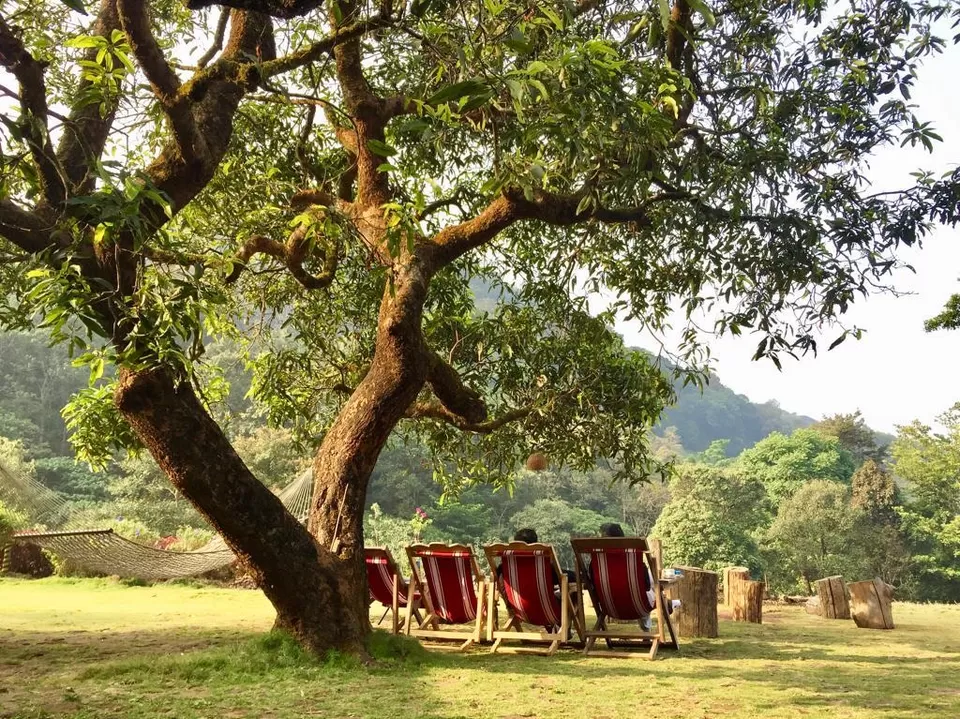 Photo of Fringe Ford, Thavinhal by Kadambari Bhatte (curlytravelmess)