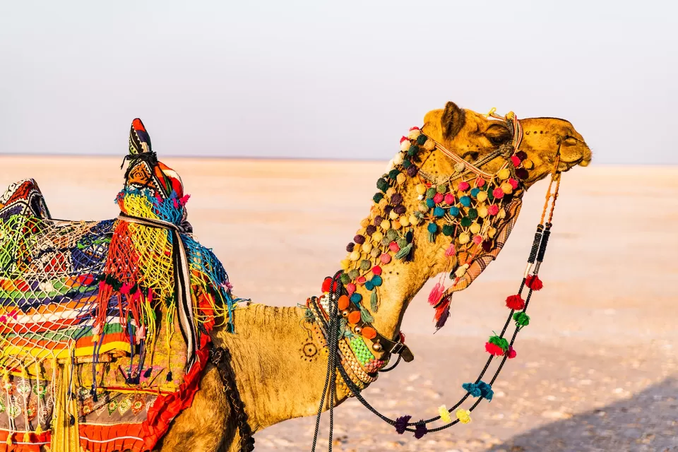 Photo of With Only 61 Days Left in 2023 Here's Where You Can Travel, Relax and Party Before the Year Ends! by Kadambari Bhatte (curlytravelmess)