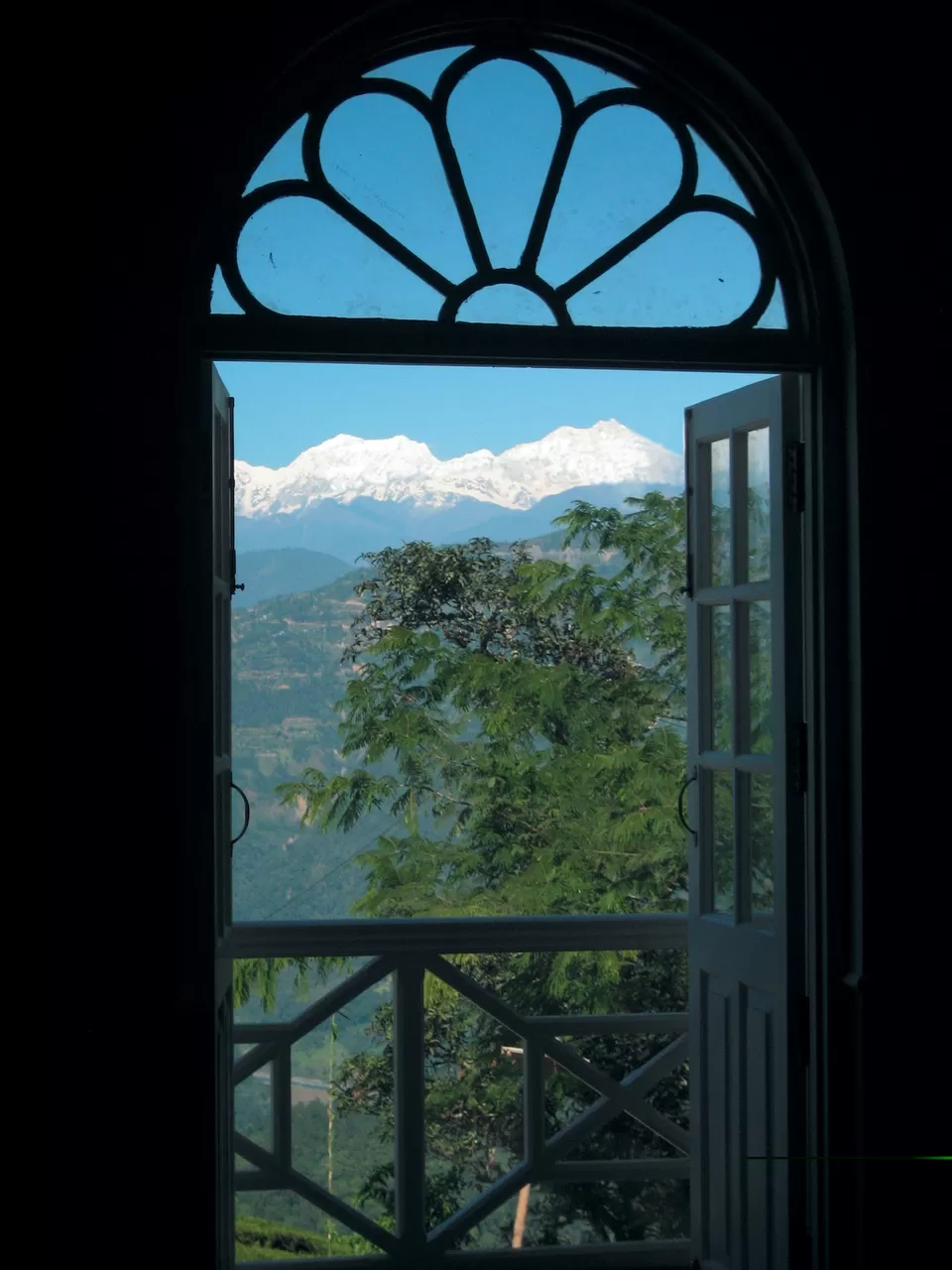Photo of Glenburn Tea Estate, Darjeeling by Kadambari Bhatte (curlytravelmess)
