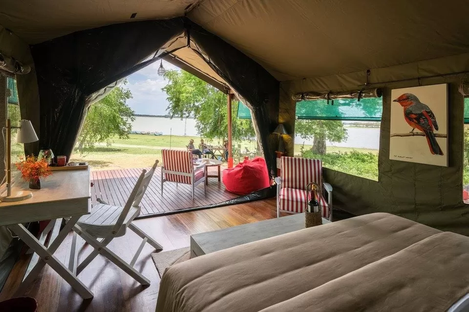 Photo of Flameback Lodges, Mudigere by Kadambari Bhatte (curlytravelmess)