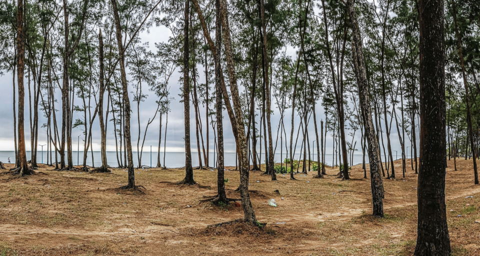 Photo of Explore Digha: The Most Popular Sea Beach in West Bengal, India. by Abeer Gupta