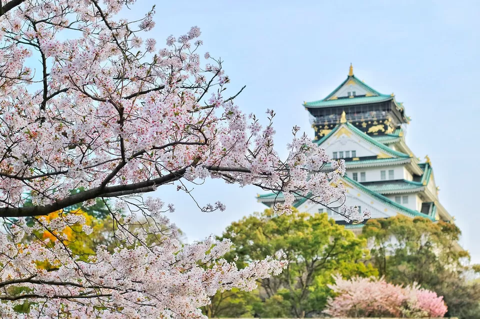 Photo of The Ultimate Guide to Japan Online Visa Application by eVisa Apply