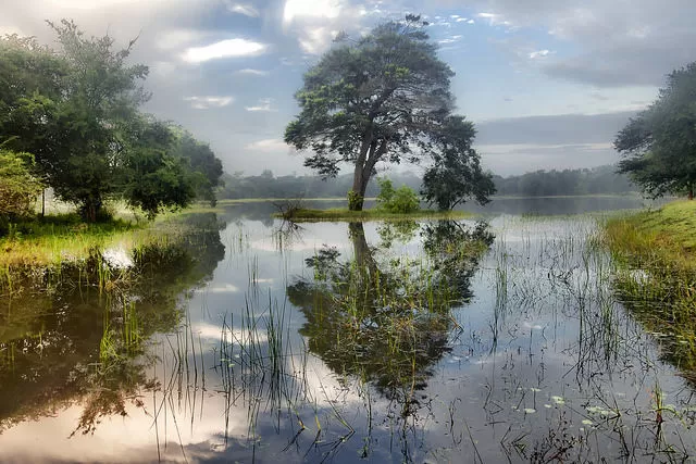 Photo of Srí Lanka, Matale by Vasishth Jani