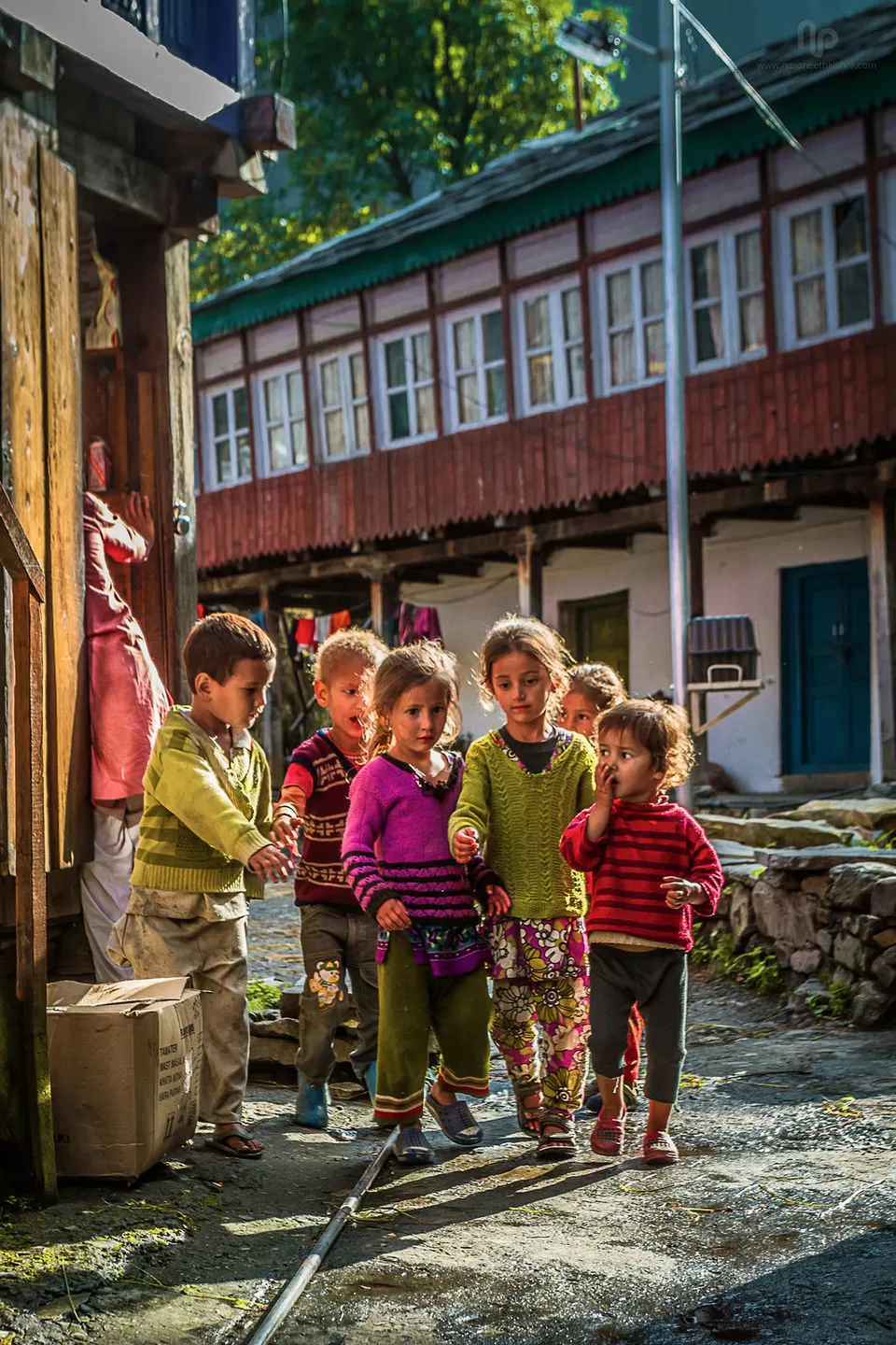 Photo of Beral, Shimla Division by Vasishth Jani