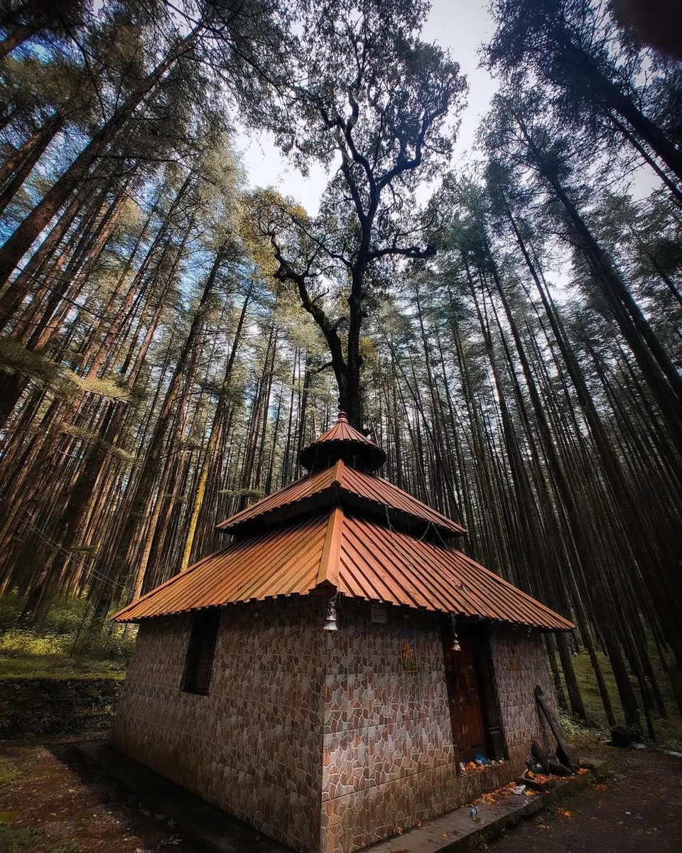 Photo of ઉત્તરાખંડનું એવું મંદિર જ્યાં શિવજીએ ક્રોધિત થઈને જંગલ બનાવ્યું by Vasishth Jani