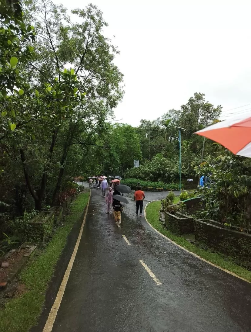 Photo of Meghalaya yatra (मेघालय यात्रा) by भ्रमणिका (The Voyager)