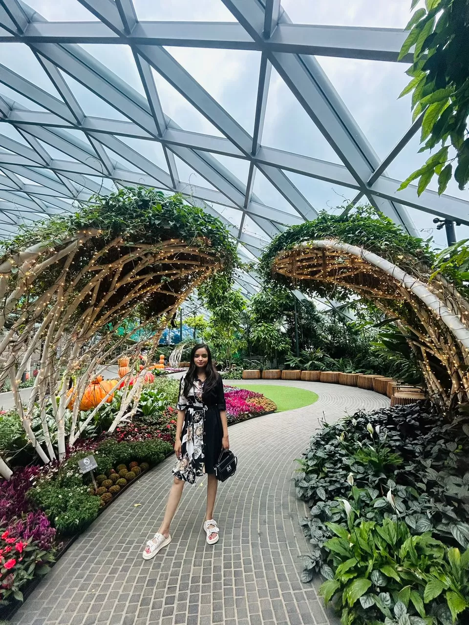 Photo of SINGAPORE RETURNS: A trip to Remember by Shalu Awasthi