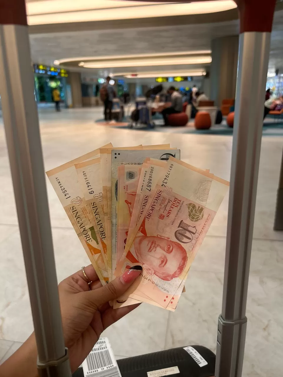 Photo of SINGAPORE RETURNS: A trip to Remember by Shalu Awasthi