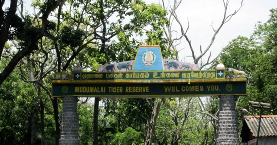 Photo of 8 Best Camping Locations In The Mountains Of South India by Bloggers Without Borders - (BWB)