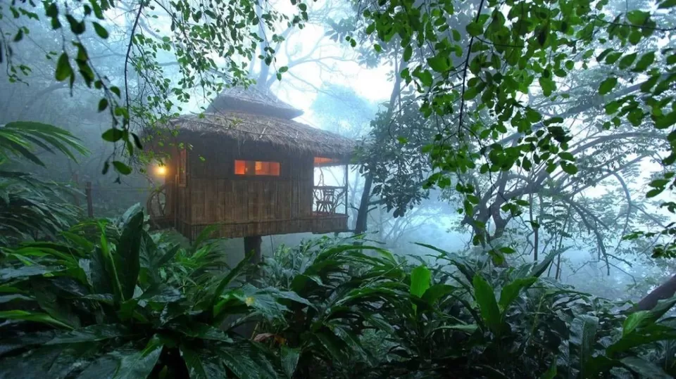 Photo of 8 Best Camping Locations In The Mountains Of South India by Bloggers Without Borders - (BWB)