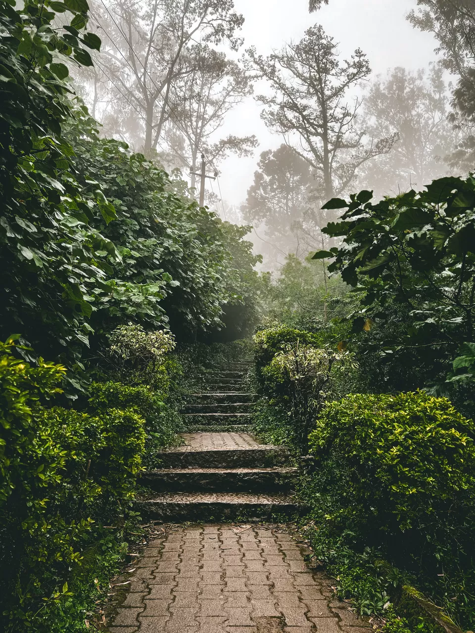 Photo of Places to visit in Bengaluru/Bangalore by Bloggers Without Borders - (BWB)