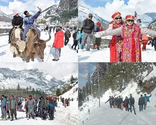 Photo of Delhi to Manali Road Trip: Top Routes, Attractions, and Travel Tips by Sreyashi Paul