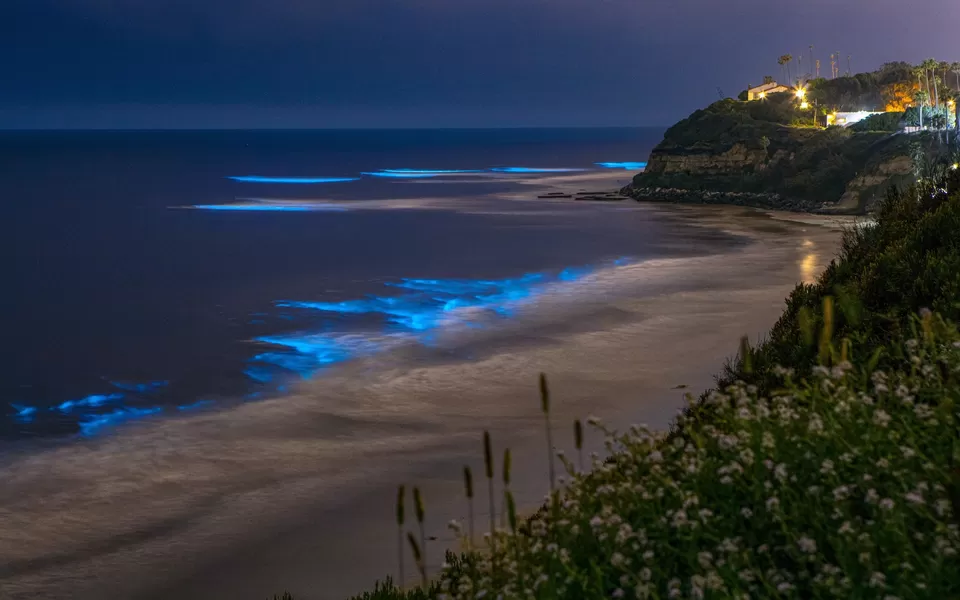 Photo of Goa During Monsoon: A Nature Lover's Paradise by Sreyashi Paul