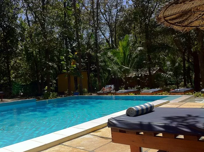 Photo of Goa During Monsoon: A Nature Lover's Paradise by Sreyashi Paul