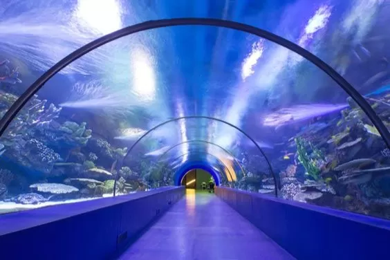 Photo of Best Places to Visit in Manila in 2024 by Eliza Grace