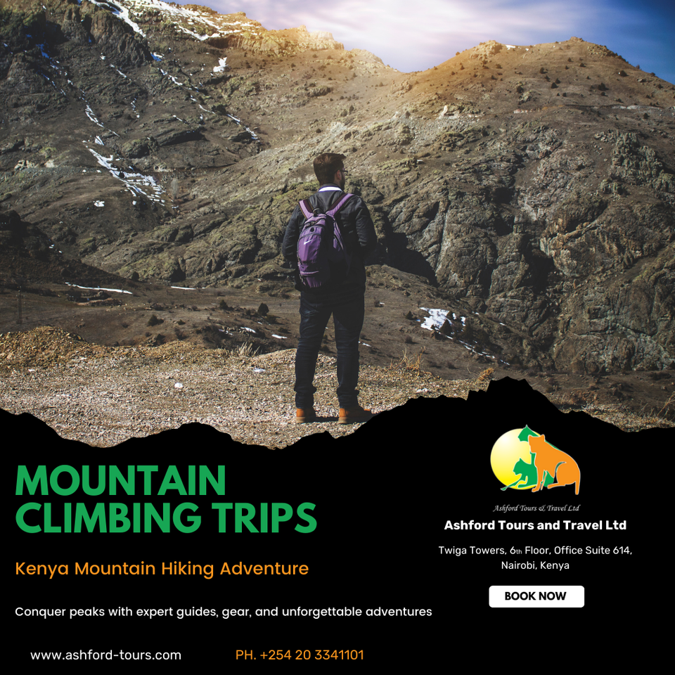 Photo of Kenya Mountain Hiking and Climbing Tours: Plan the Best Tour with us by ashford tours