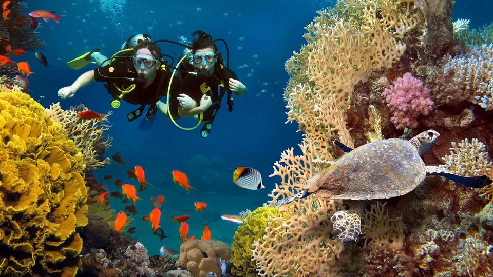 Photo of Embracing Paradise: Discovering the Maldives in 2024 by Whyn✪travel