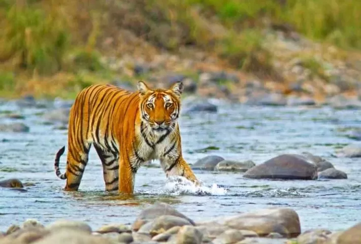 Photo of Weekend Getaways from Delhi: Explore Tranquil Escapes Near the Capital by Whyn✪travel