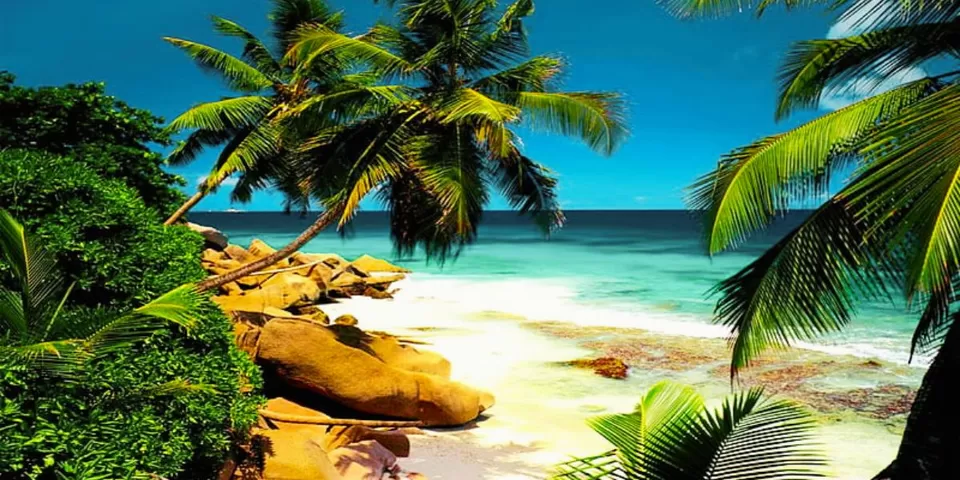 Photo of Best Monsoon Travel Destinations Outside India (2024) by TravelJunkies ✔