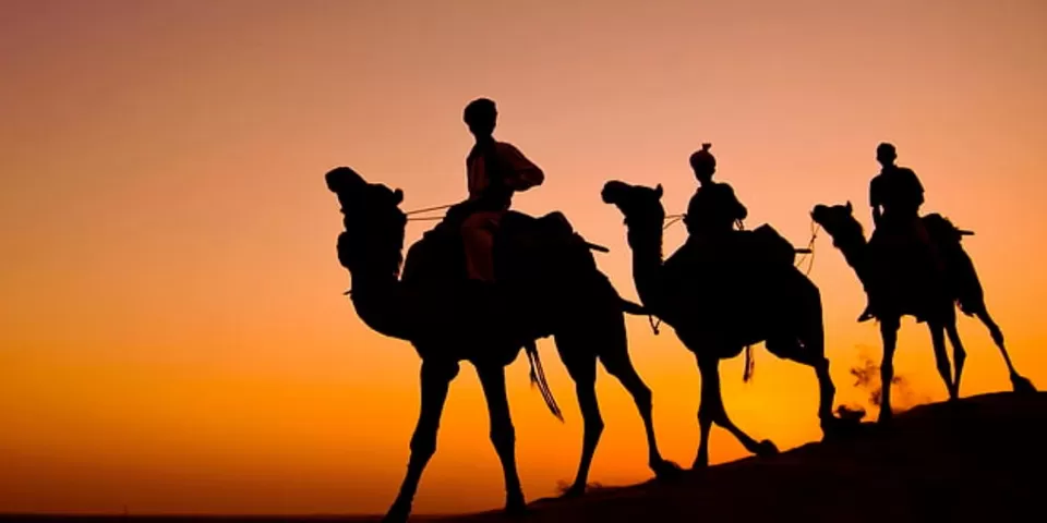 Photo of Majestic Rajasthan in 5 Days: Your Ultimate Travel Guide by TravelJunkies ✔