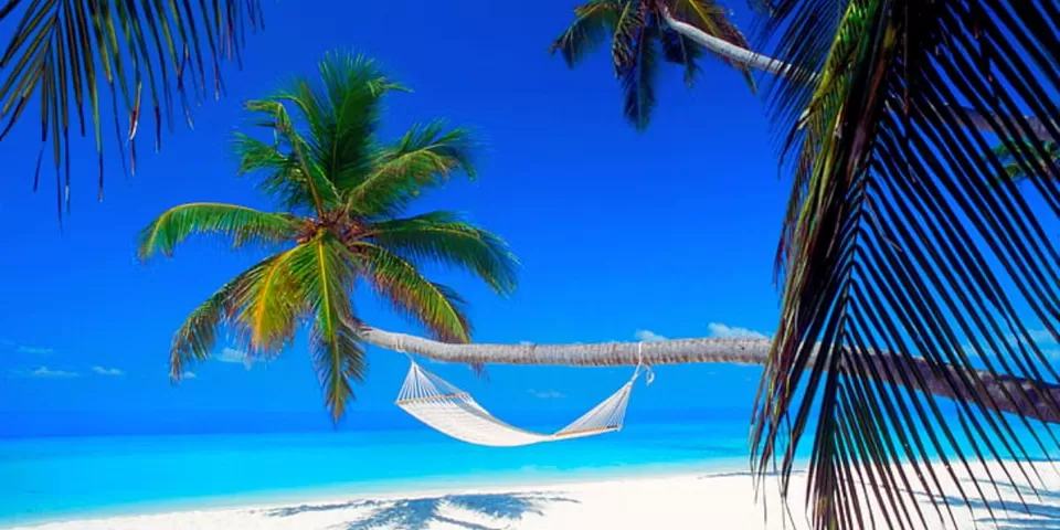 Photo of Three Days in the Maldives: An Unforgettable Island Getaway by TravelJunkies ✔