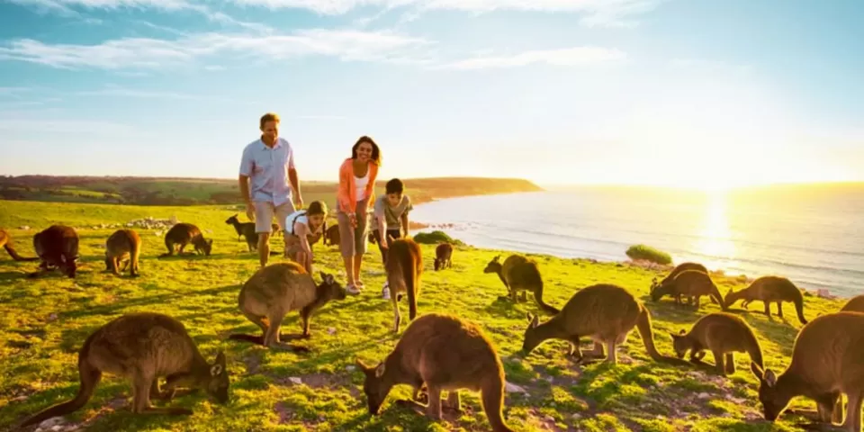 Photo of From Melbourne to Cairns: The Best Affordable Places to Visit in Australia by TravelJunkies ✔